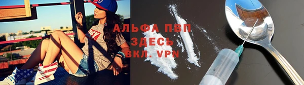 apvp Верея